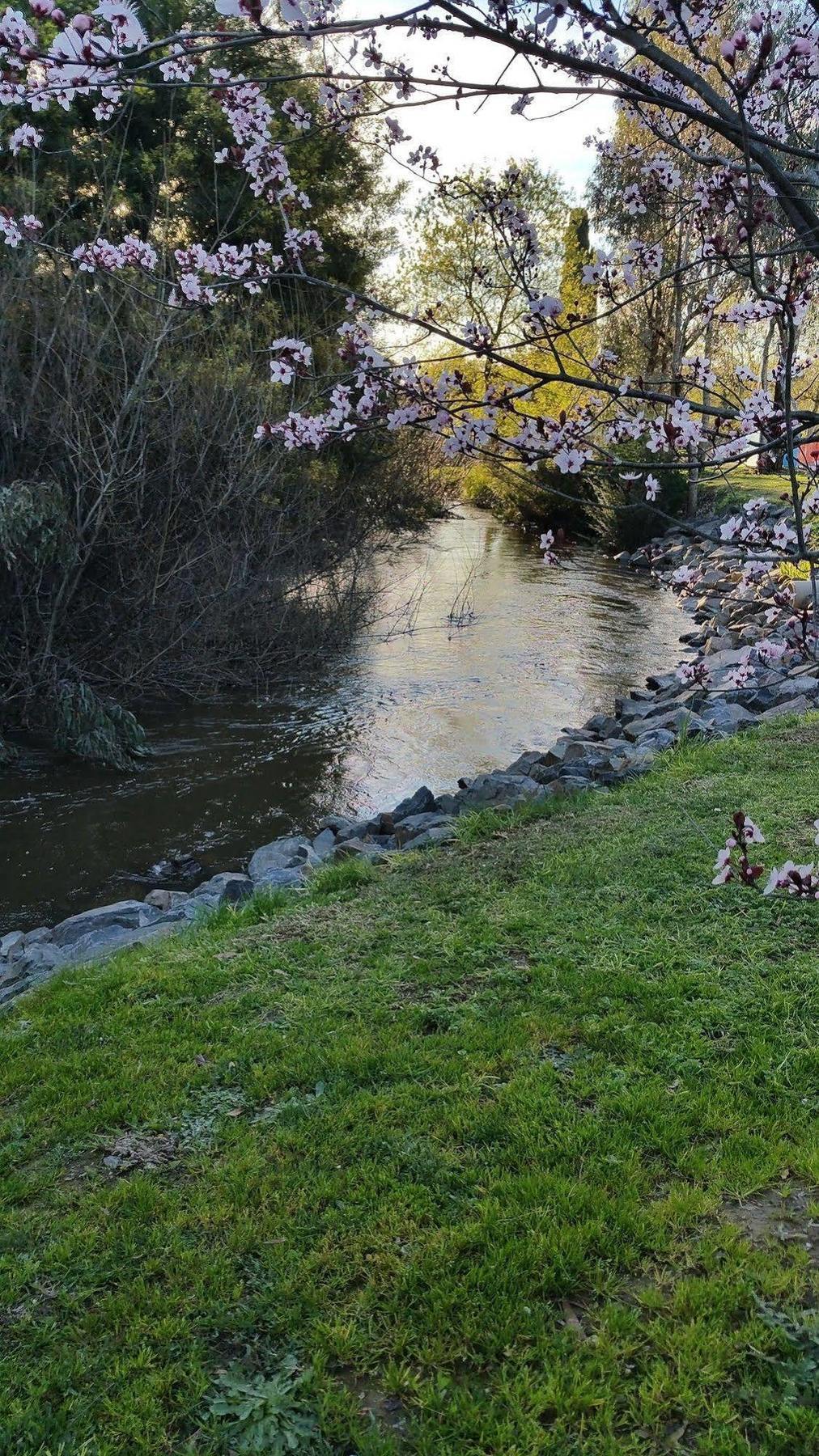 Yea Riverside Caravan Park Dış mekan fotoğraf